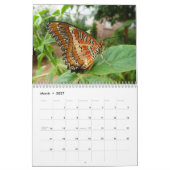 Kalender voor de vlinder 2013 (Mar 2027)