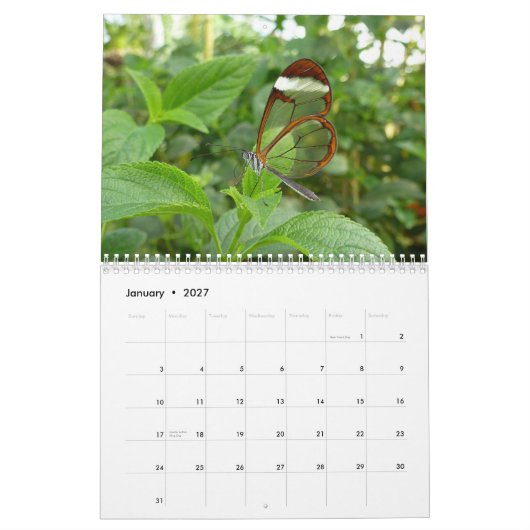 Kalender voor de vlinder 2013 (Jan 2027)