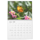 Kalender voor de vlinder 2014 (Mar 2027)
