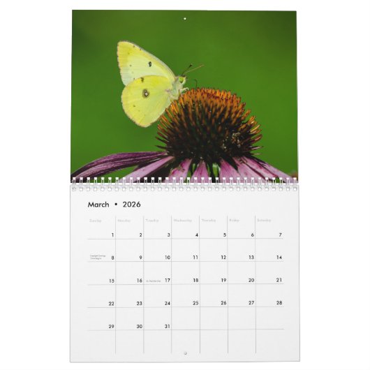 Kalender voor de vlinder 2017 (Mar 2026)