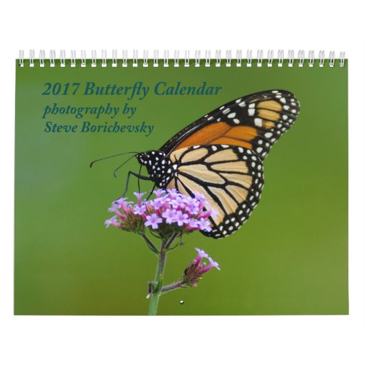 Kalender voor de vlinder 2017 (Hoes)