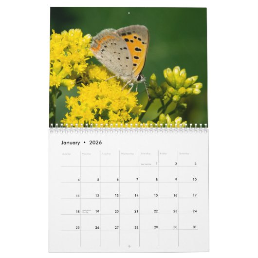 Kalender voor de vlinder 2017 (Jan 2026)