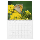 Kalender voor de vlinder 2017 (Jan 2027)