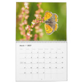 Kalender voor de vlinder 2018 (Mar 2027)