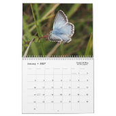 Kalender voor de vlinder 2018 (Jan 2027)