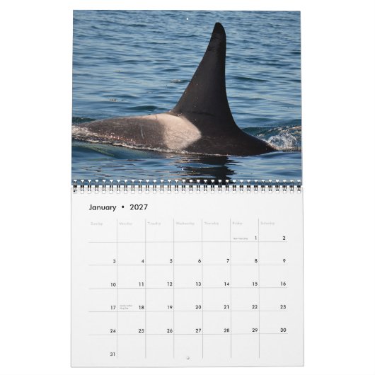 Kalender voor de walvis van de Zuidelijke Ingezete (Jan 2027)