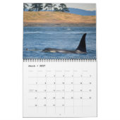 Kalender voor de walvis van de Zuidelijke Ingezete (Mar 2027)