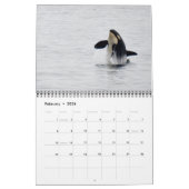 Kalender voor de walvis van de Zuidelijke Ingezete (Feb 2026)