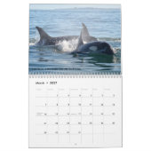 Kalender voor de walvis van de zuidelijke inwoner  (Mar 2027)