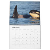 Kalender voor de walvis van de zuidelijke inwoner  (Jan 2027)