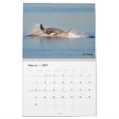Kalender voor de walvis van de zuidelijke inwoner  (Feb 2027)