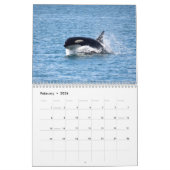 Kalender voor de walvis van de zuidelijke inwoner (Feb 2026)