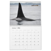 Kalender voor de walvis van de zuidelijke inwoner (Jan 2026)