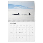 Kalender voor de walvis van de zuidelijke inwoner (Mar 2027)