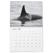 Kalender voor de walvis van de zuidelijke inwoner (Jan 2027)