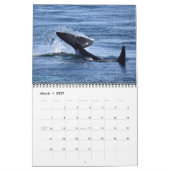 Kalender voor de walvis van de zuidelijke inwoner (Mar 2027)