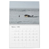 Kalender voor de walvis van de zuidelijke inwoner  (Feb 2026)