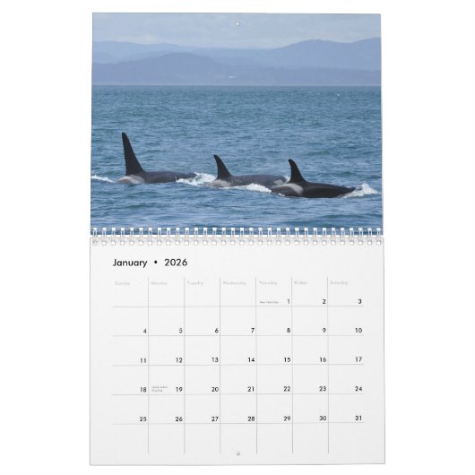 Kalender voor de walvis van de zuidelijke inwoner  (Jan 2026)