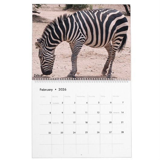 Kalender voor dieren 2026 (Feb 2026)