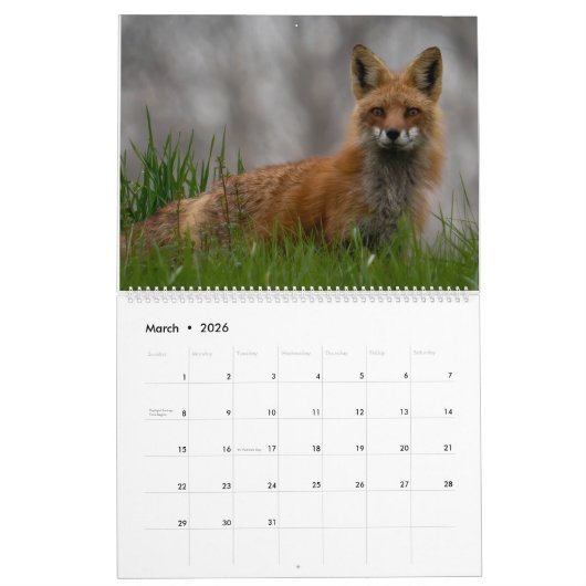 Kalender voor dieren en landschap 2025 (Mar 2026)