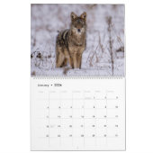 Kalender voor dieren en landschap 2025 (Jan 2026)