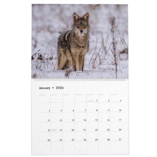 Kalender voor dieren en landschap 2025 (Jan 2026)