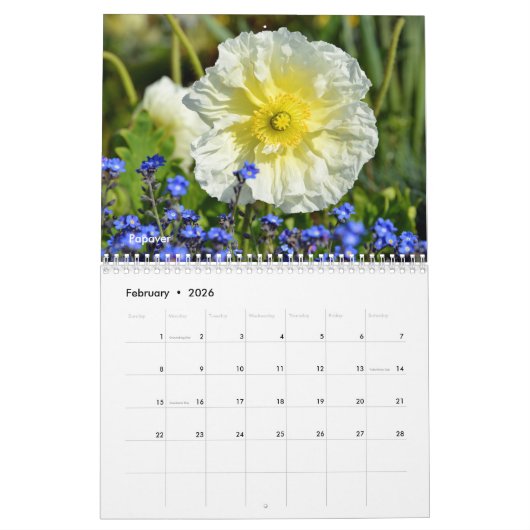 kalender voor diverse bloemen (Feb 2026)