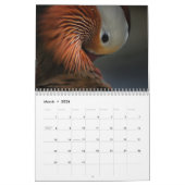 kalender voor exotische dieren (Mar 2026)