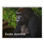 kalender voor exotische dieren (Hoes)