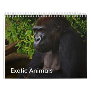 kalender voor exotische dieren