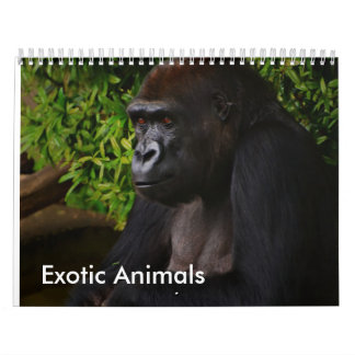 kalender voor exotische dieren