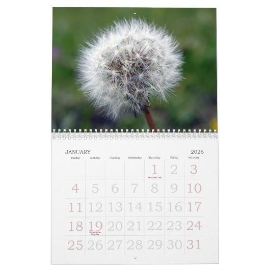Kalender voor Floral 2008 in Zwitserland (Jan 2026)
