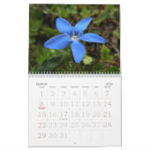 Kalender voor Floral 2008 in Zwitserland (Mar 2026)