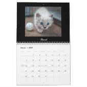 Kalender voor Foster Felines 2015 (Mar 2027)