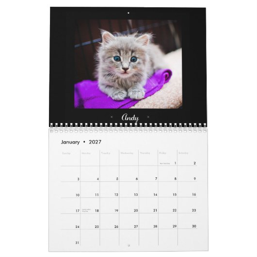 Kalender voor Foster Felines 2015 (Jan 2027)