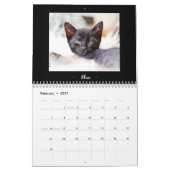 Kalender voor Foster Felines 2015 (Feb 2027)