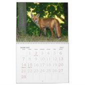 Kalender voor Fox Family (Feb 2027)