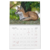 Kalender voor Fox Family (Jan 2026)