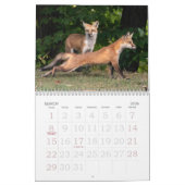 Kalender voor Fox Family (Mar 2026)