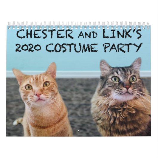 Kalender voor gecodeerde katten 2020 (Hoes)