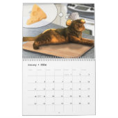 Kalender voor gecodeerde katten 2020 (Jan 2026)