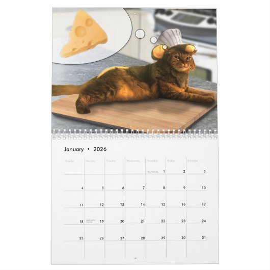 Kalender voor gecodeerde katten 2020 (Jan 2026)