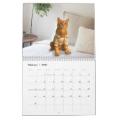Kalender voor gecodeerde katten 2020 (Feb 2027)