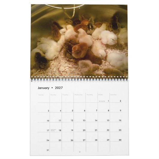 Kalender voor geiten en pluimvee 2013 (Jan 2027)