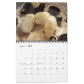 Kalender voor geiten en pluimvee 2013 (Mar 2027)