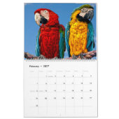 kalender voor gemengde papegaaien (Feb 2027)
