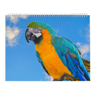 kalender voor gemengde papegaaien