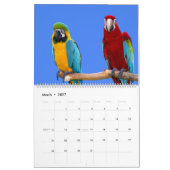 kalender voor gemengde papegaaien (Mar 2027)