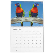 kalender voor gemengde papegaaien (Jan 2027)