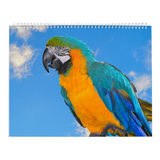 kalender voor gemengde papegaaien (Hoes)
